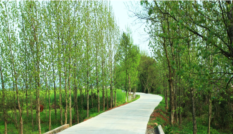 江西信豐縣工業(yè)園科之光路（緯二路）新建大道、產(chǎn)業(yè)大道北段一期工程設(shè)計(jì)、施工總承包（EPC）